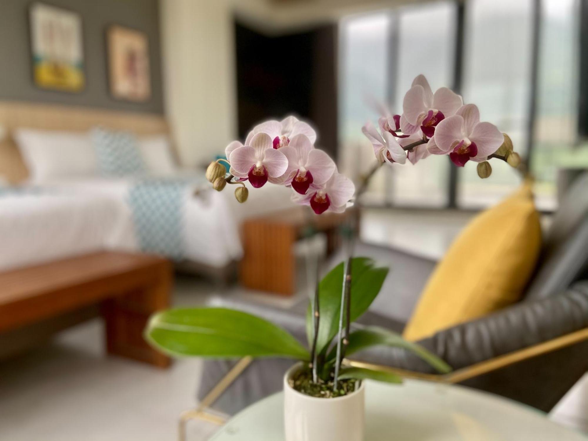 Follow The Cloud B&B Jialin 객실 사진
